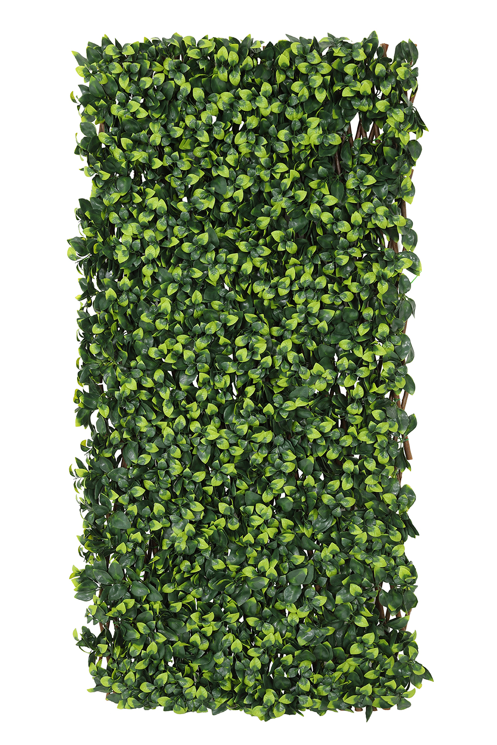 Extendable Artificial Hedging Single Ivy